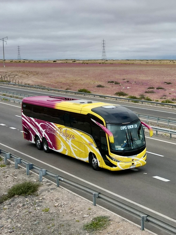 Flota Buses Pulpica